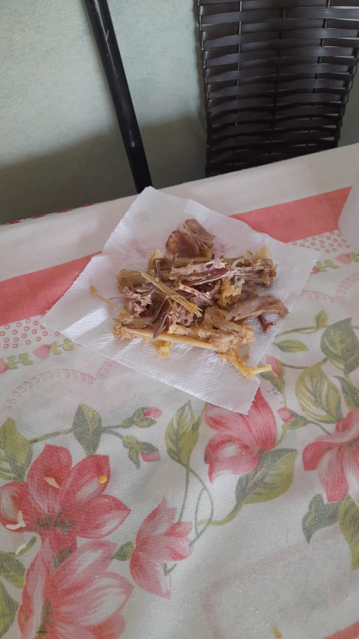 Loja de Alzira Polo — Cafeteria — foto 4